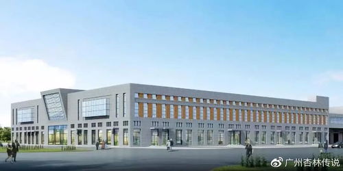 匠心为民，笃行致远 真奥药业董事长李细海的特色产品与服务之路